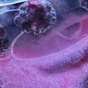 Meet your Posher, Savannah